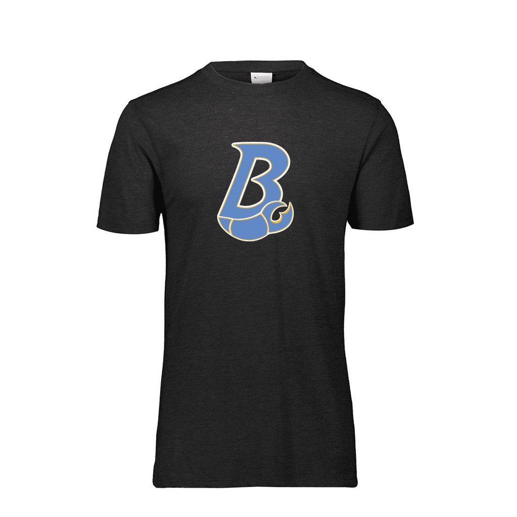 Men's Ultra-blend T-Shirt